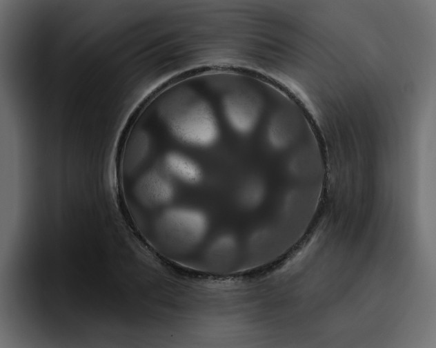 X0000095130887200712141154