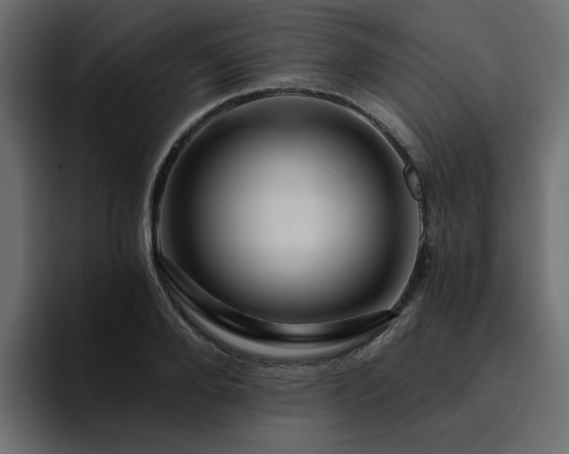 X0000095130888200712141154