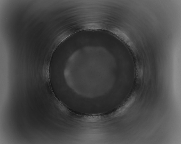 X0000095130889200712141154