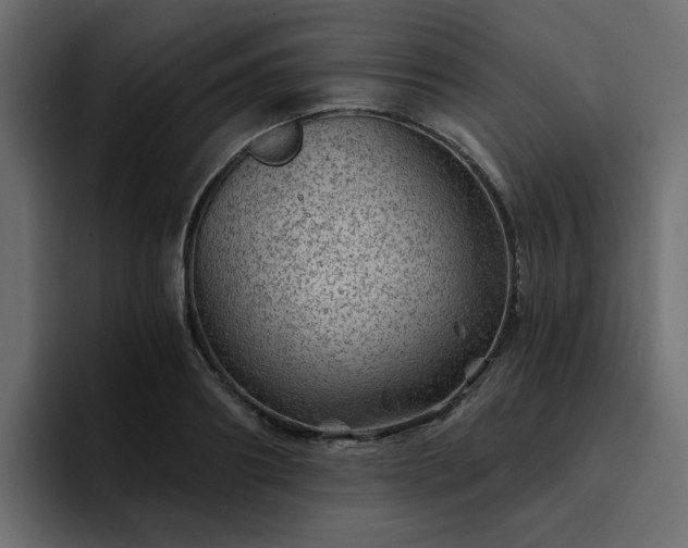 X0000095130890200712141154