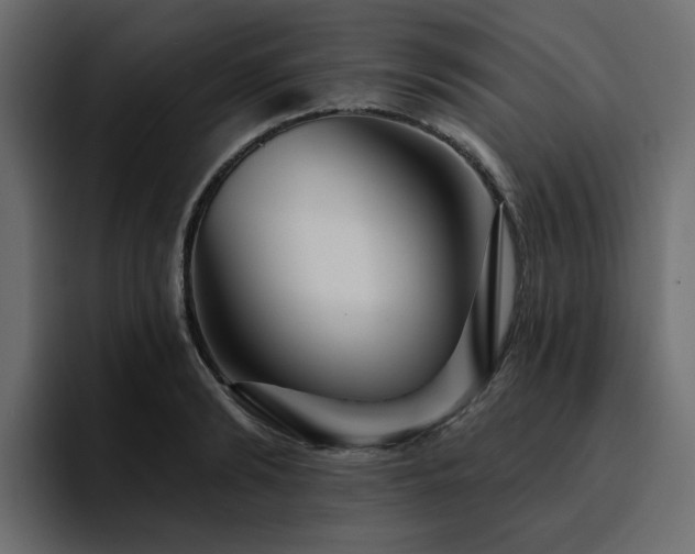 X0000095130894200712141154