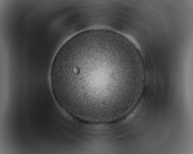 X0000095130895200712141154