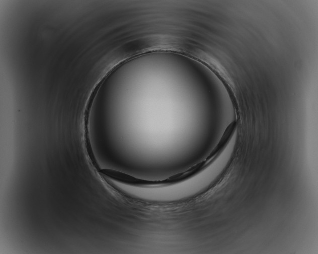 X0000095130898200712141154