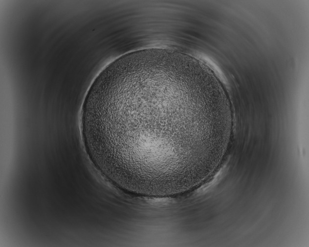 X0000095130899200712141154