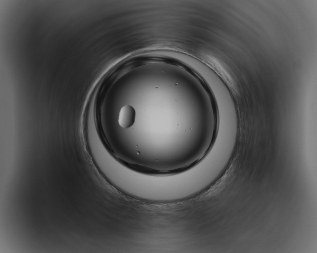 X0000095130900200712141154