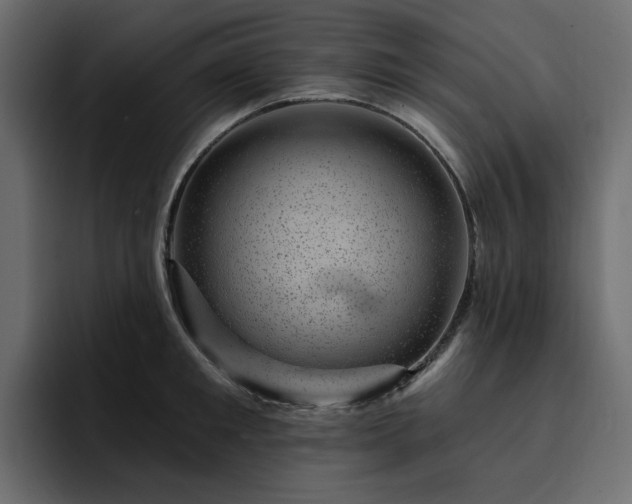 X0000095130901200712141154