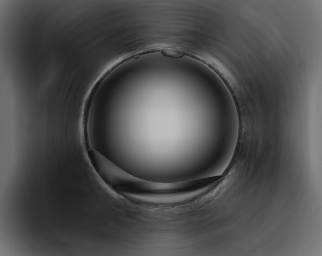 X0000095130902200712141154