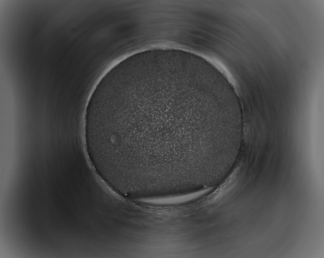 X0000095130903200712141154