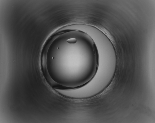 X0000095130904200712141154