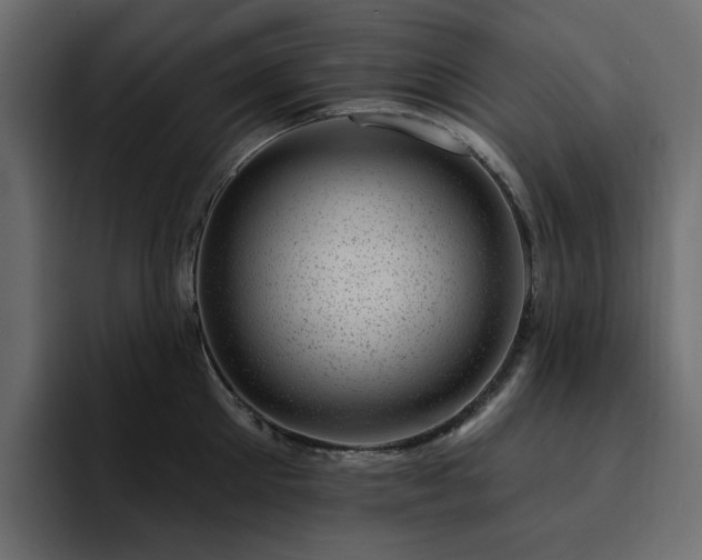 X0000095130905200712141154