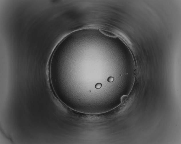 X0000095130907200712141154