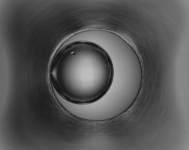 X0000095130912200712141154