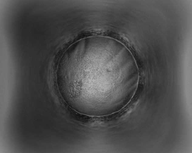 X0000095130913200712141153