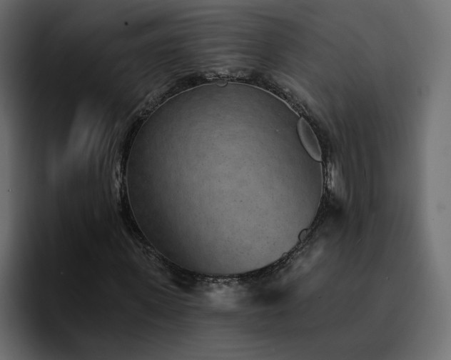 X0000095130915200712141153