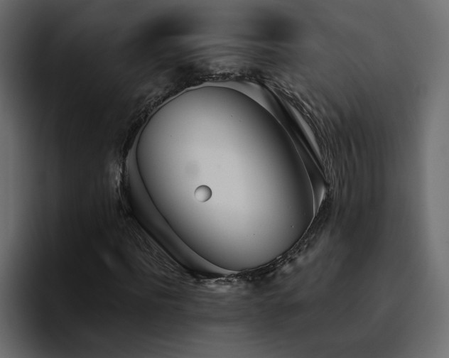 X0000095130916200712141153