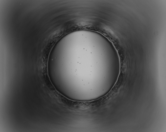 X0000095130917200712141153