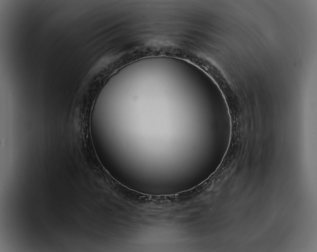 X0000095130919200712141153