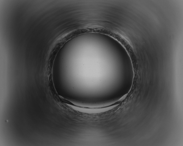 X0000095130920200712141153