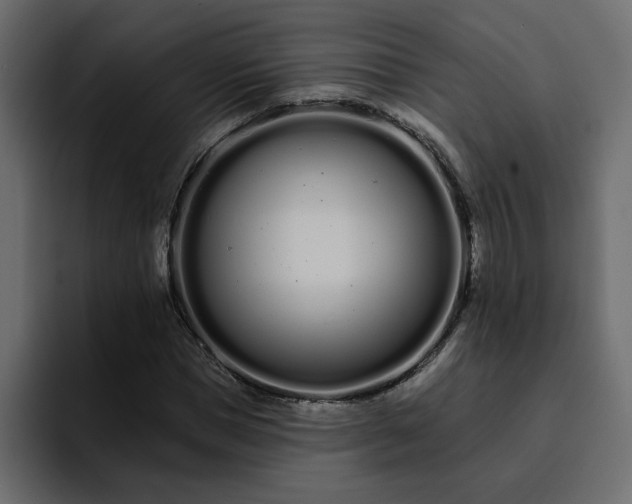 X0000095130921200712141153