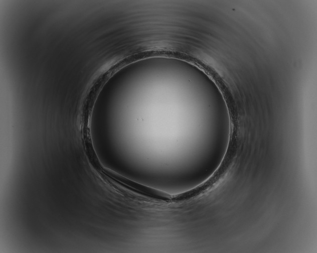 X0000095130922200712141153