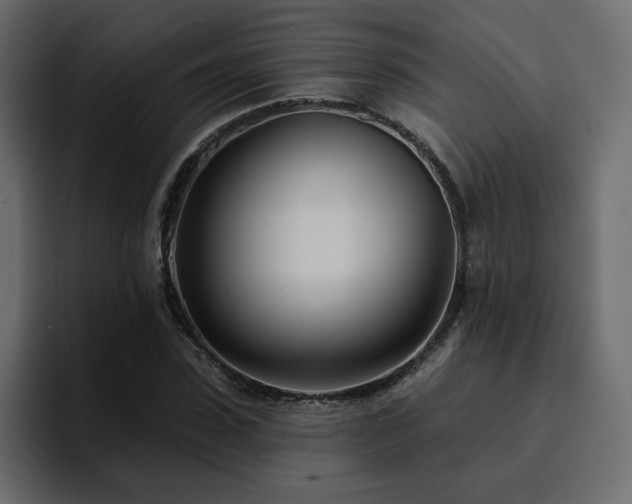 X0000095130923200712141153