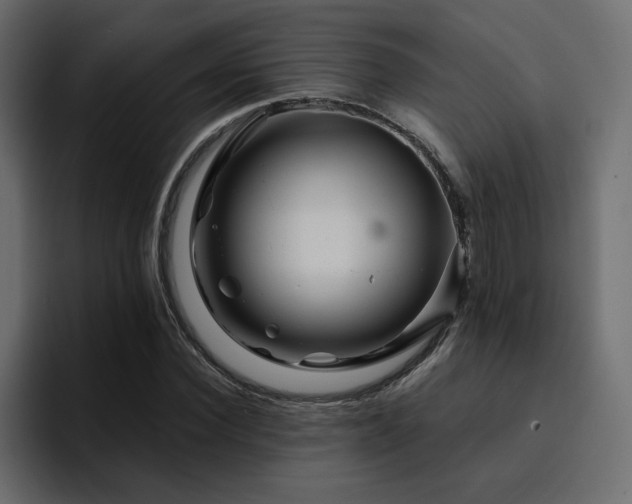 X0000095130924200712141153