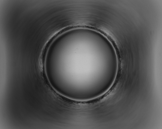 X0000095130925200712141153