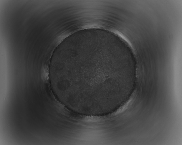 X0000095130929200712141153