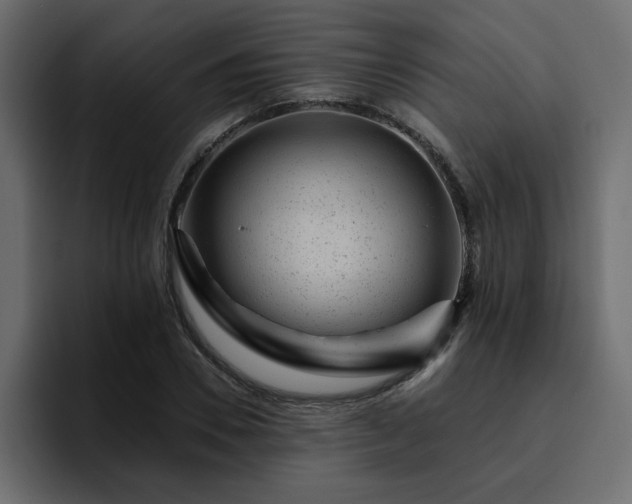 X0000095130930200712141153