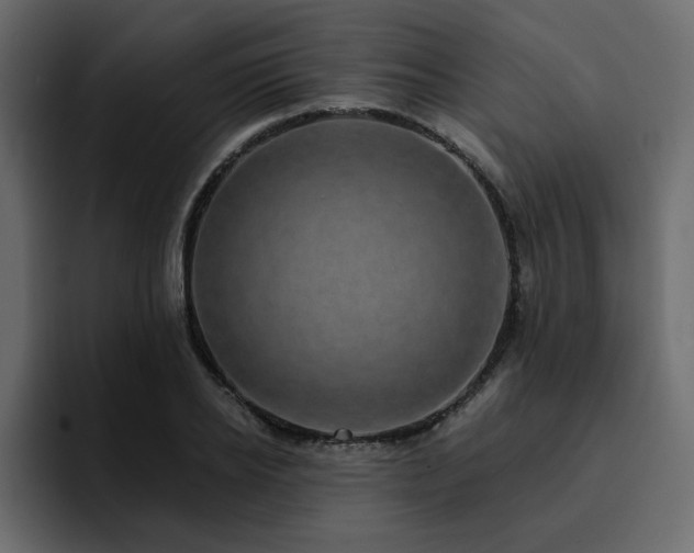 X0000095130934200712141153