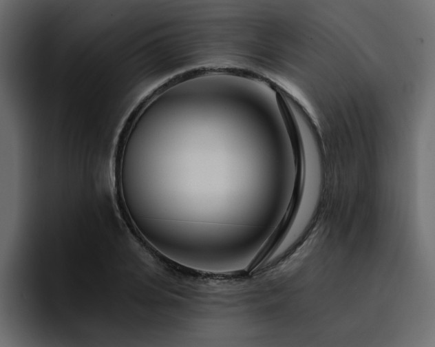 X0000095130935200712141153