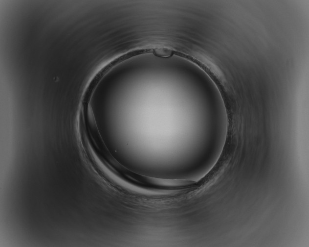 X0000095130936200712141153