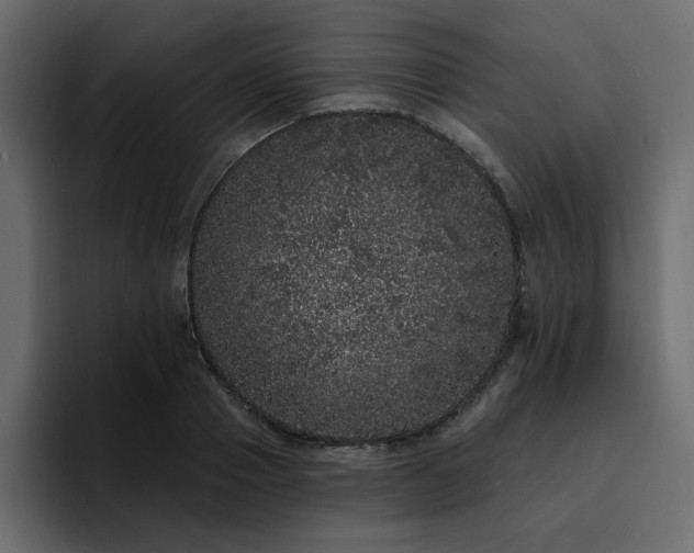 X0000095130937200712141153