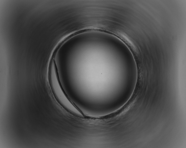 X0000095130940200712141153