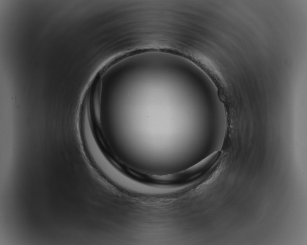 X0000095130942200712141153