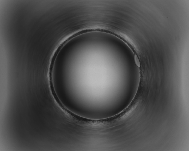 X0000095130943200712141154