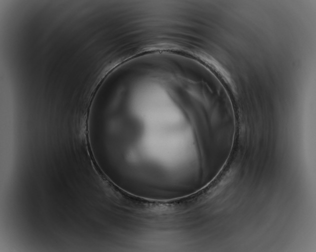 X0000095130945200712141154