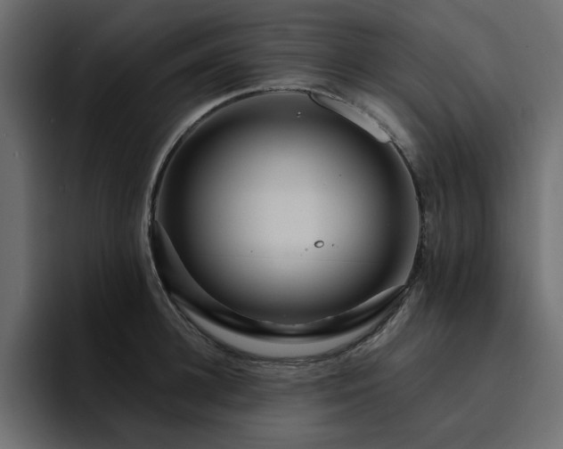 X0000095130948200712141154