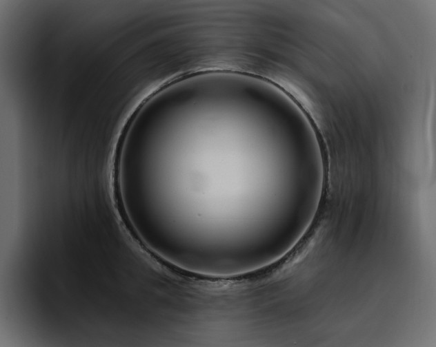 X0000095130949200712141154