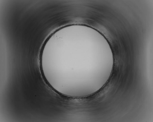 X0000095130950200712141154