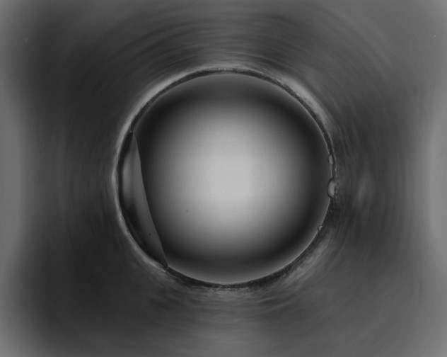 X0000095130951200712141154