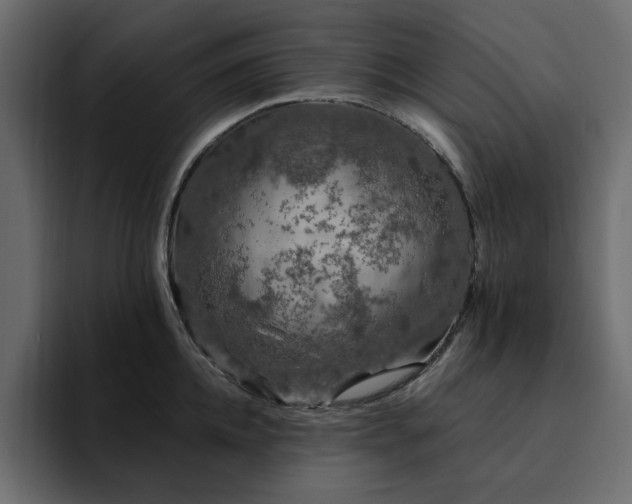 X0000095130952200712141154