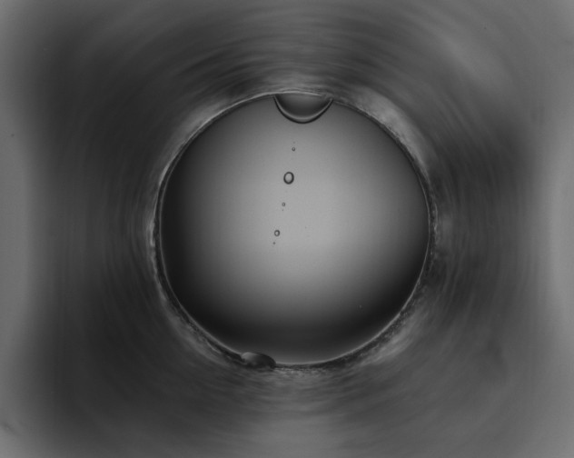 X0000095130954200712141154