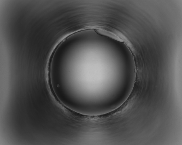 X0000095130955200712141154