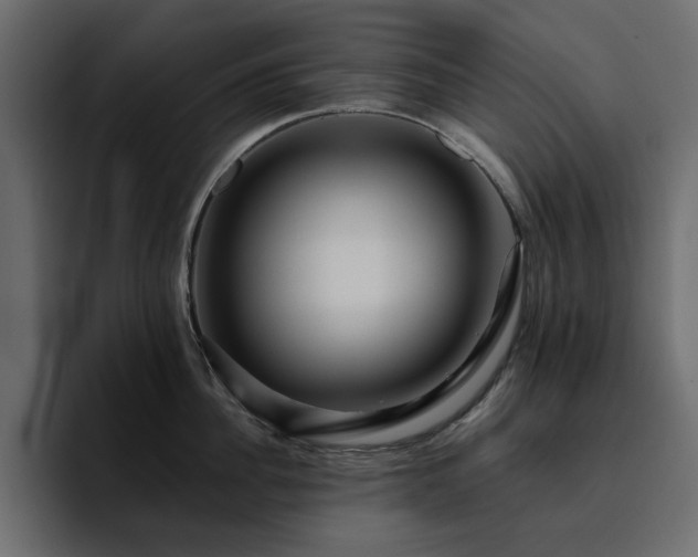 X0000095130956200712141154