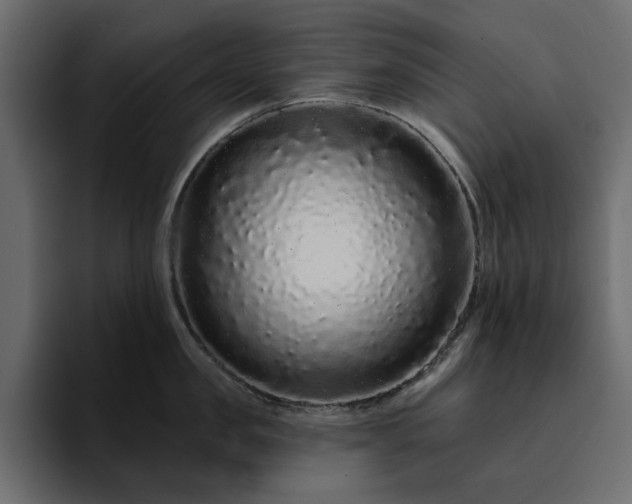 X0000095130957200712141154