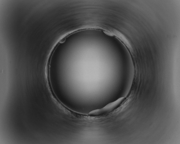 X0000095130958200712141154