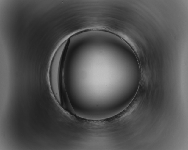 X0000095130959200712141154