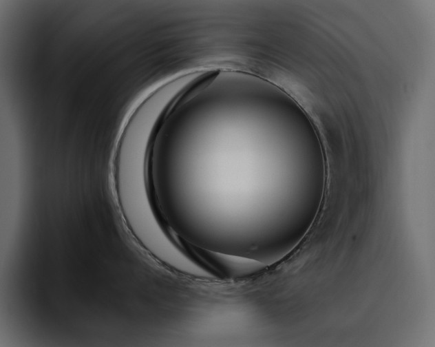 X0000095130960200712141154