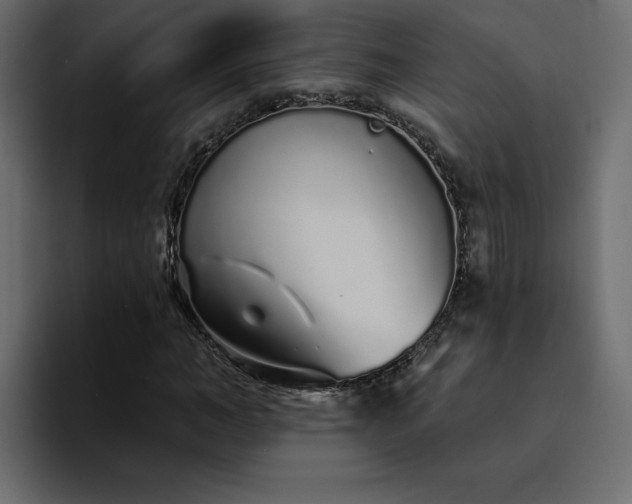 X0000095130966200712141153